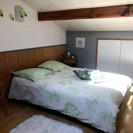 Belle Maison Familiale / Grande Piscine Chauffee Prázdninový dům Biscarrosse